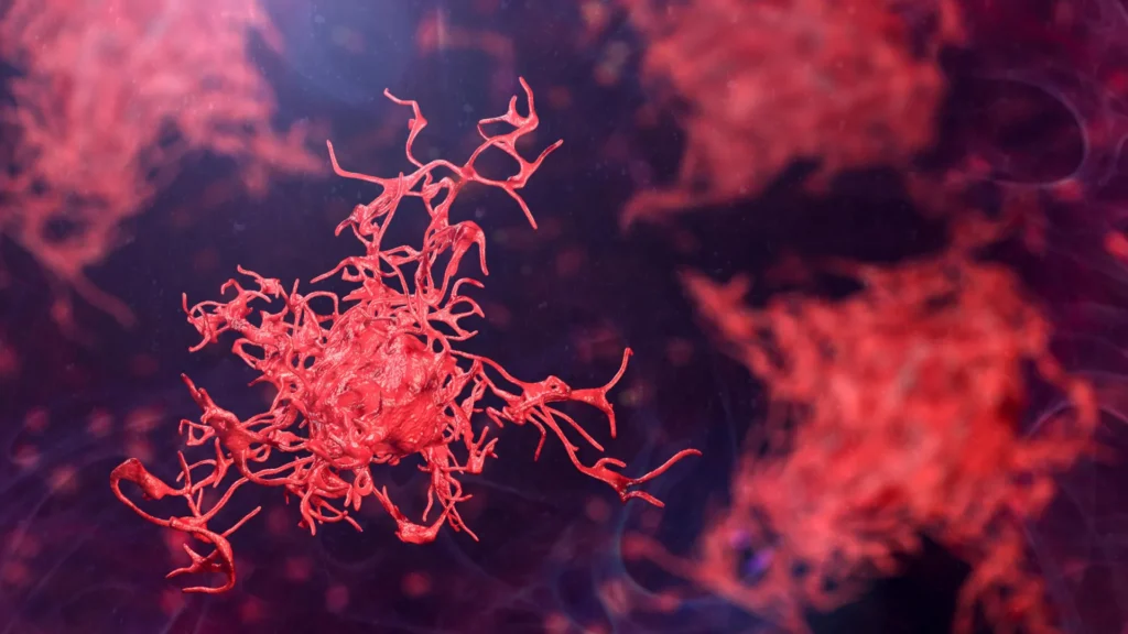 Cientistas pedem ação urgente à medida que amebas perigosas se espalham globalmente