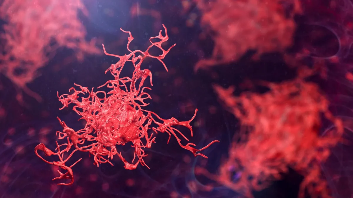 Cientistas pedem ação urgente à medida que amebas perigosas se espalham globalmente