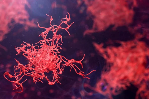 Cientistas pedem ação urgente à medida que amebas perigosas se espalham globalmente