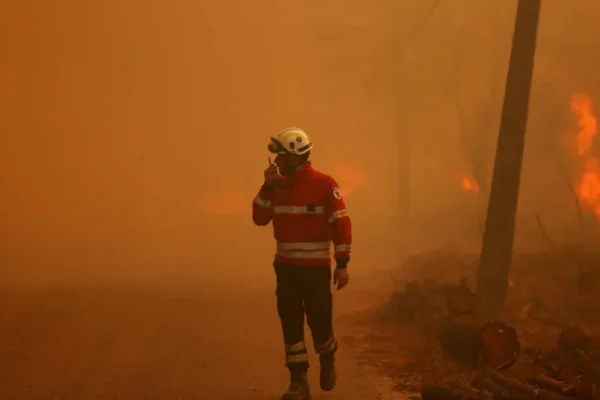 Incêndio em Arganil mobiliza quase 120 operacionais e 3 meios aéreos
