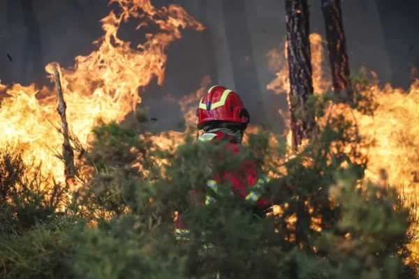 Governo quer Equipas de Intervenção Permanente disponíveis 24h para Combate a Fogos