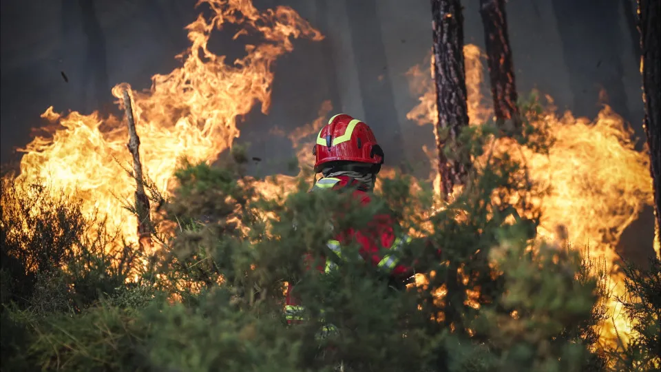 Governo quer Equipas de Intervenção Permanente disponíveis 24h para Combate a Fogos