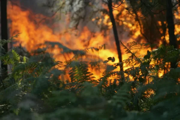 Incêndios: Fogo em Montalegre Começa a Ceder aos Meios
