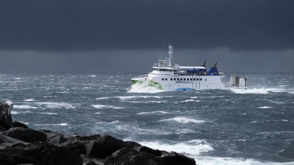 Imported Article – 2026-03-12 17:17:39