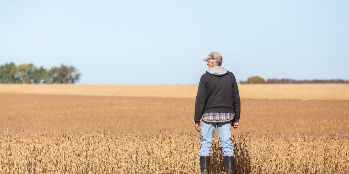 O aumento dos preços dos fertilizantes pode pressionar a indústria agrícola dos EUA, que sustenta 50 milhões de empregos e gera mais de 10 trilhões de dólares em produção