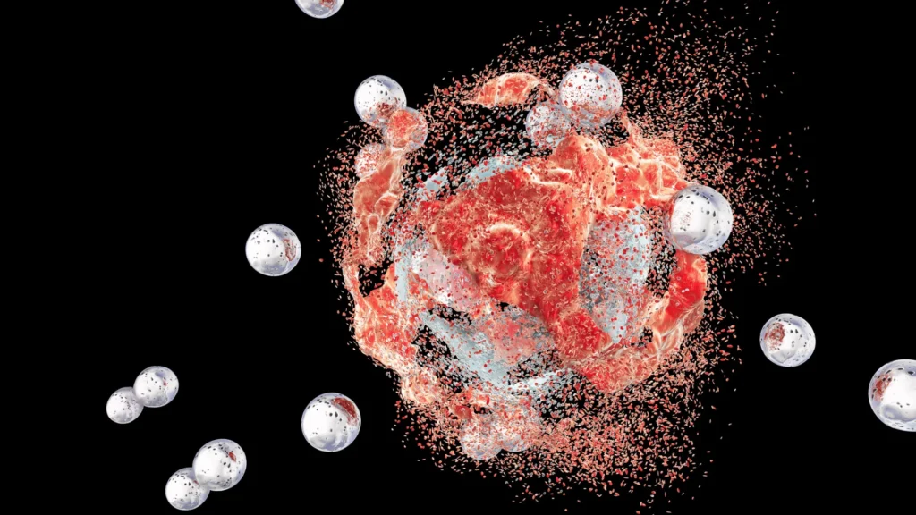 Imported Article – 2026-03-19 01:34:31