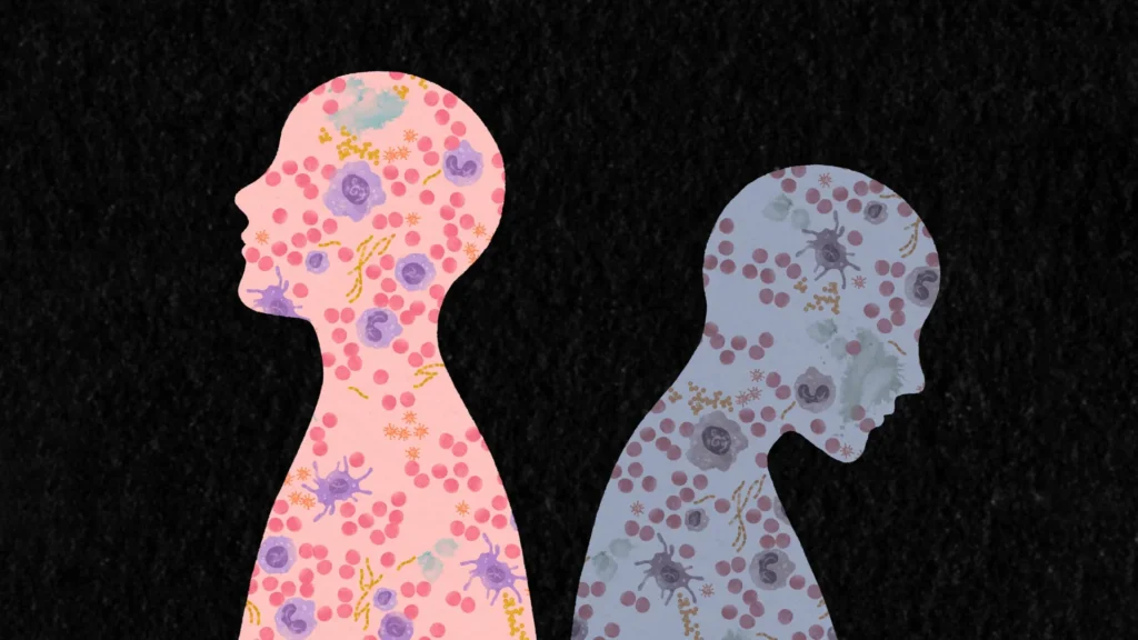 Cientistas descobrem como experiências de vida reescrevem o sistema imunológico