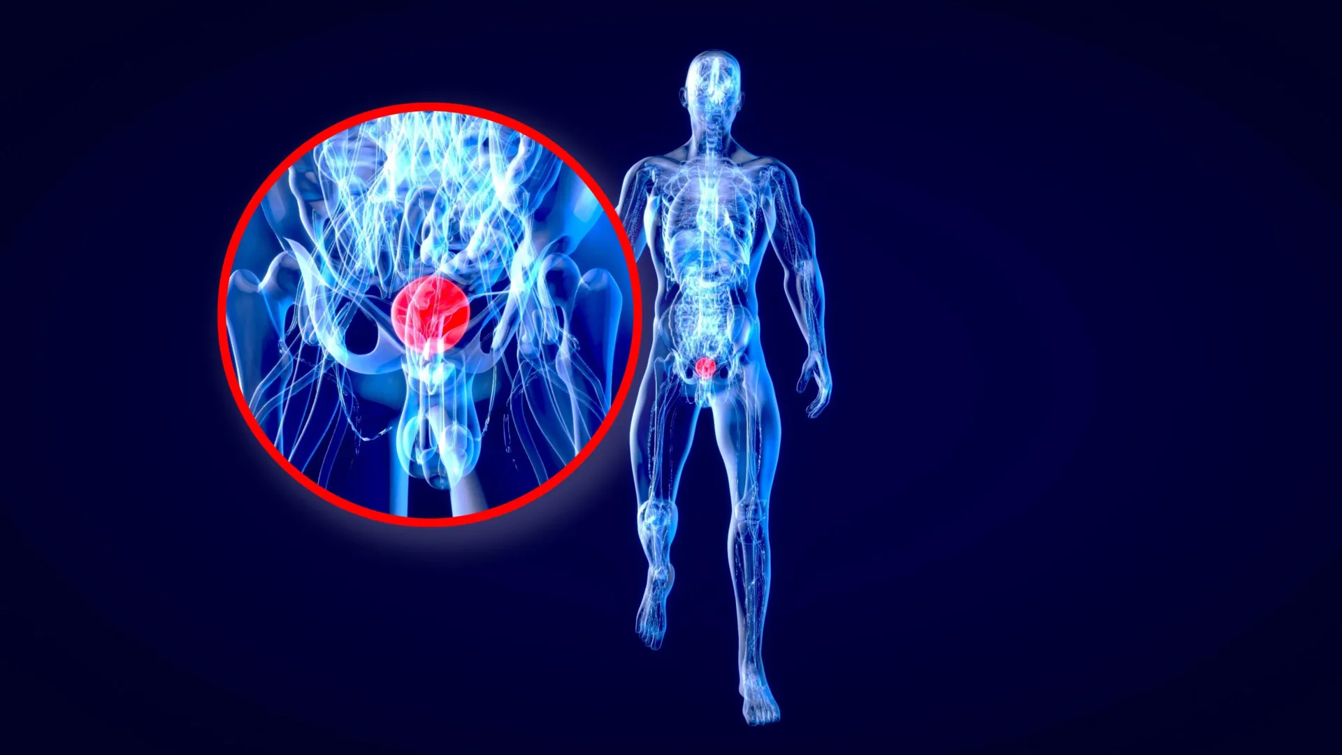 Imported Article – 2026-03-19 09:35:58