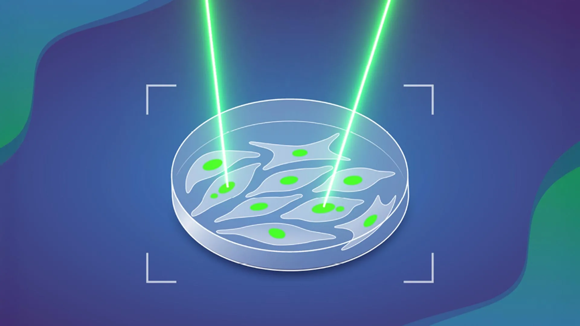 Imported Article – 2026-03-18 17:33:36