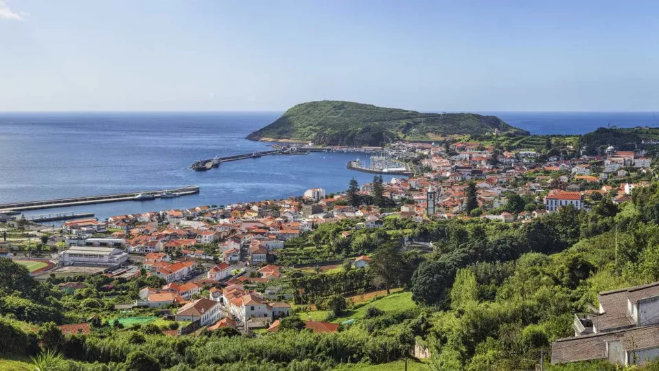 Três pessoas evacuadas devido a queda de árvore na ilha do Faial