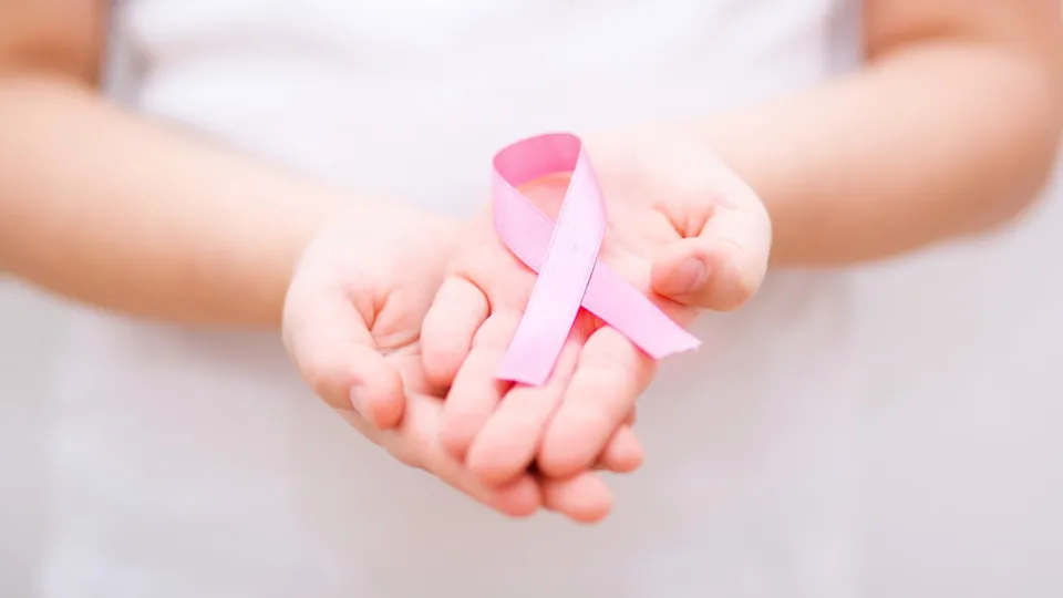 Imported Article – 2026-03-29 18:20:17