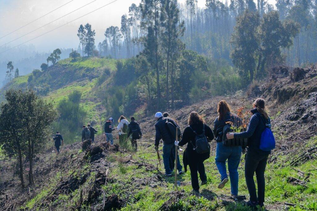 Mais de 42 mil árvores plantadas em Gondomar para recuperação de florestas e margens ribeirinhas