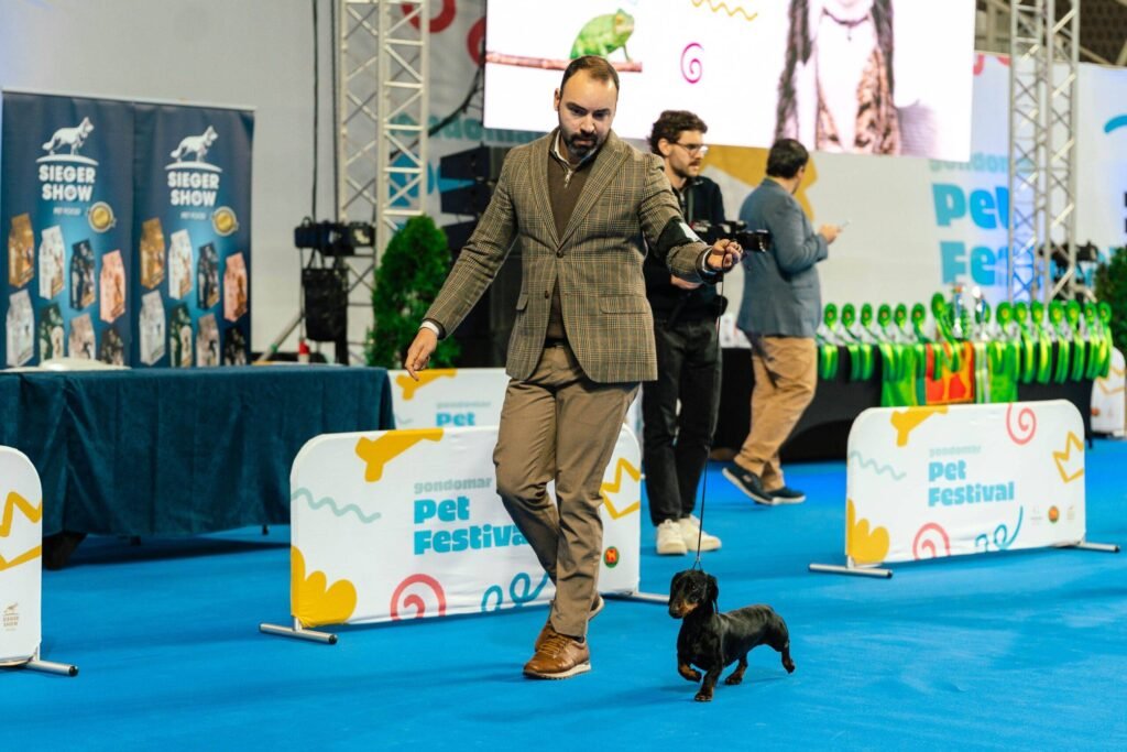 Festival de Animais de Gondomar já está a acontecer no Multiusos