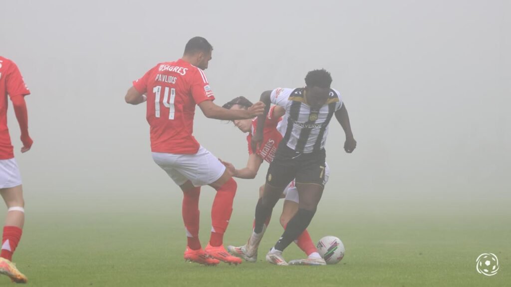 Previsões do IPMA para o Nacional x Benfica na Choupana no sábado à tarde