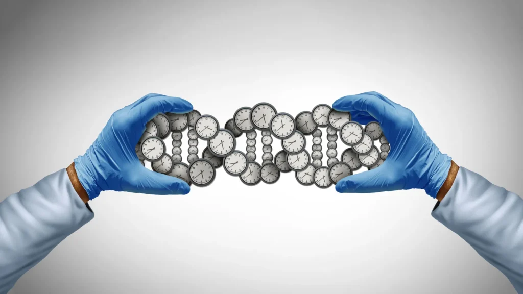 Os cientistas estavam errados sobre a longevidade. Seus genes importam muito mais do que pensávamos.