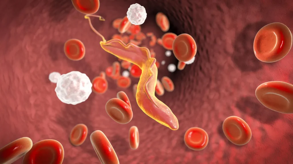 Cientistas descobrem "desintegrador molecular" que ajuda parasitas mortais a evadir o sistema imunológico