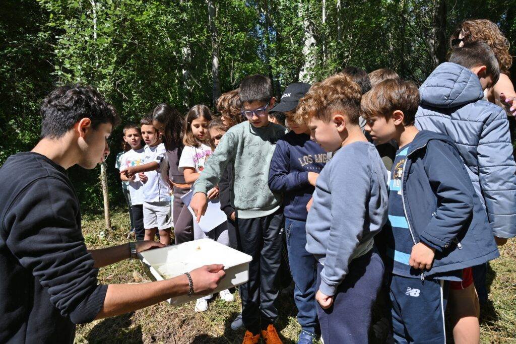 Guardiões dos Rios: Alunos Monitorizam e Protegem Linhas de Água em Terreno