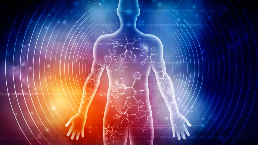 Cientistas revelam como sete dias de jejum transformam o corpo humano