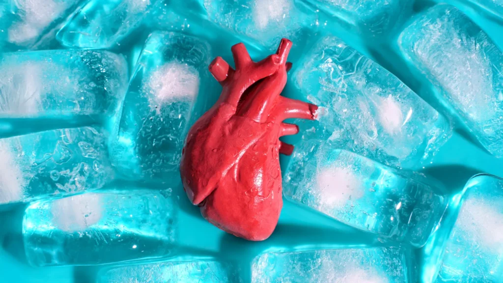 Cientistas descobrem como congelar órgãos para transplante sem quebrá