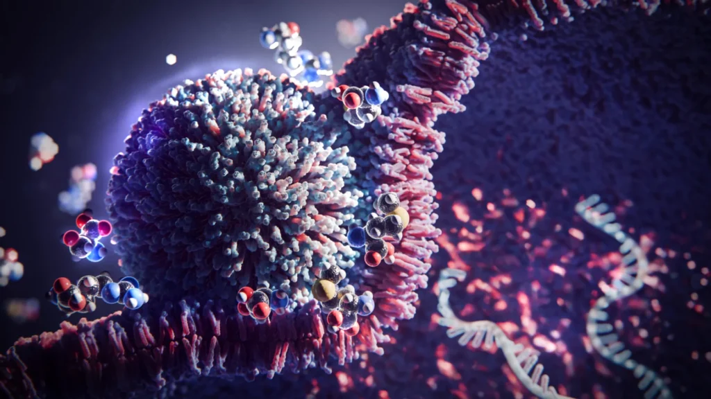 Este truque simples de 3 aminoácidos aumenta a terapia com mRNA em 20 vezes