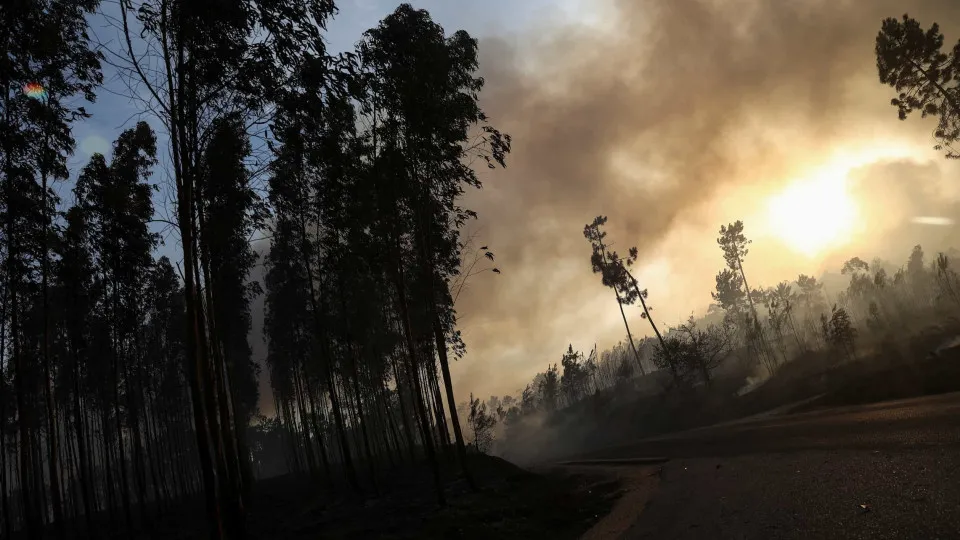 Detidos por incêndio pela GNR aumentaram 61% este ano, totalizando 58