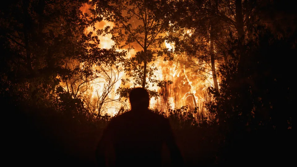 Incêndio em fábrica de sofás no Sabugal mobiliza mais de 40 operacionais