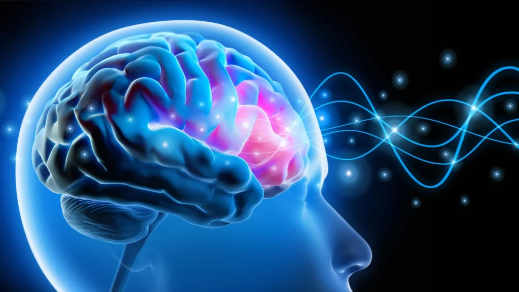 Cientistas Reversam Ansiedade Ao Corrigir Um Pequeno Circuito Cerebral